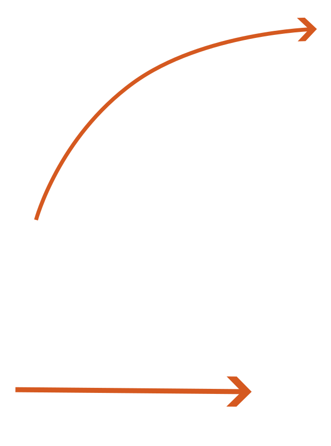 Bescherming tegen vogels