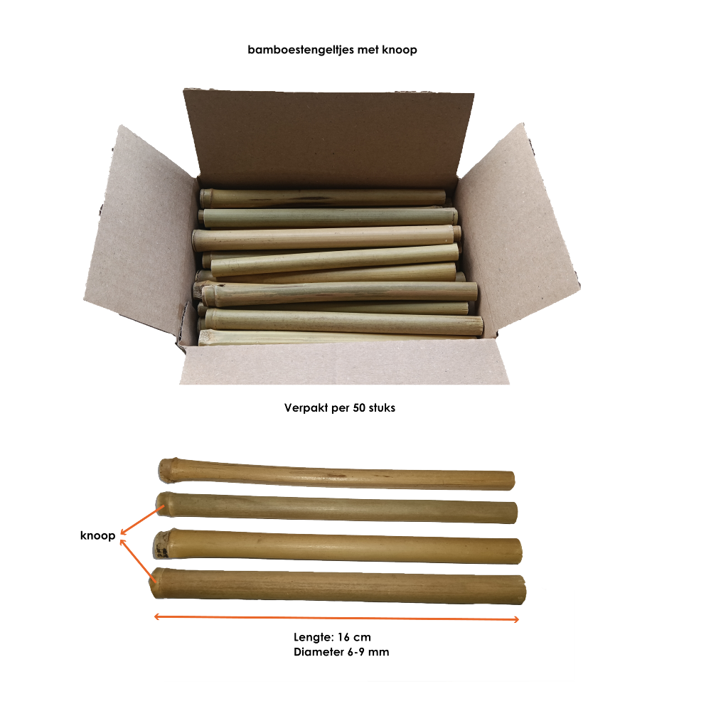 bamboe voor eigen hotel foto 2