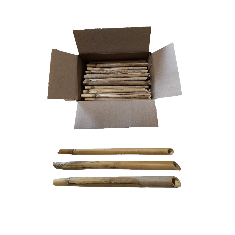 riet met lopertje foto 1