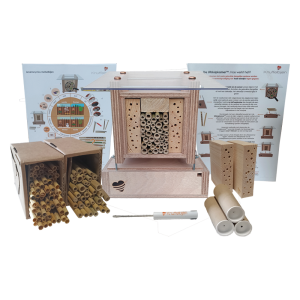 Cadeaupakket wilde bijen