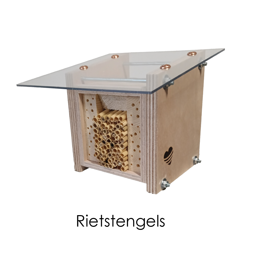 Nestkastje met rietstengels 2
