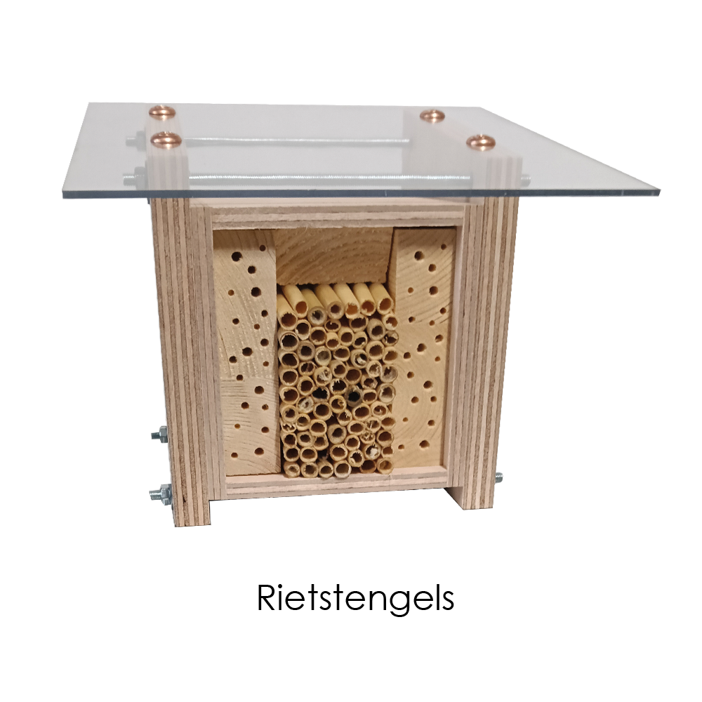 Nestkastje met rietstengels