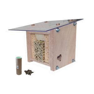 Nestkastje voor bijen met bijenpopulatie