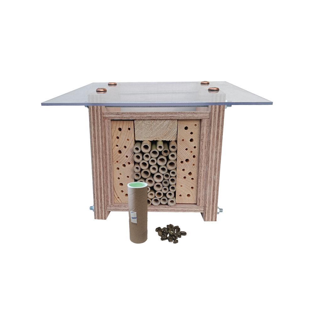 Nestkastje voor bijen met BP 2